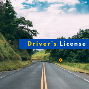 Driver's License